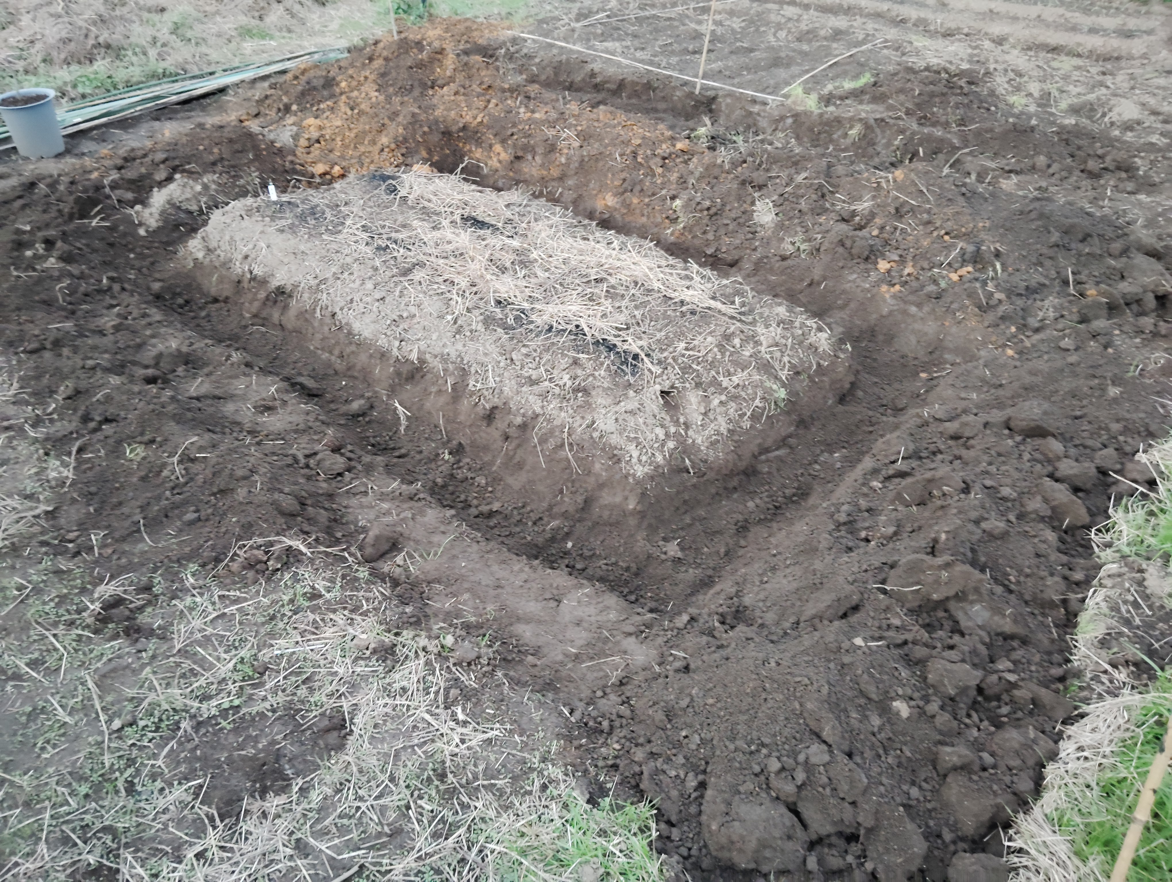 メルカリで買った中古スコップと、まさかの腰痛改善？